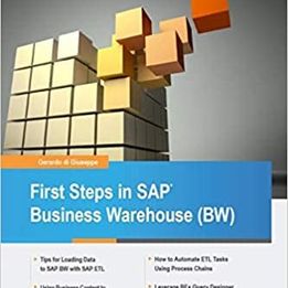 First Steps in SAP Business Warehouse (BW)